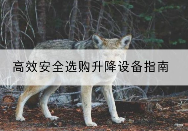 江城升降货梯厂家推荐-*安全选购升降设备指南